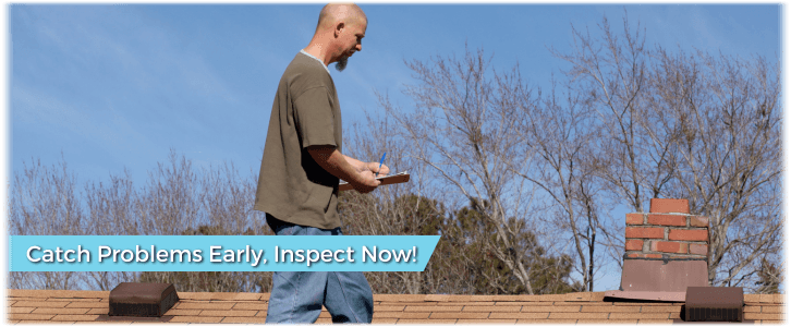 Chimney and Fireplace Inspection Rochester